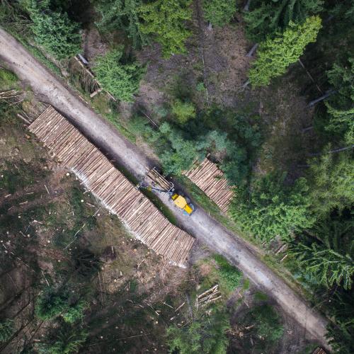 Foresterie - Aurèle Mallais & Fils